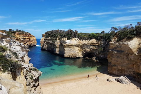 Great Ocean Road Adventure - Private Tour - Reverse - Accommodation Yamba 0