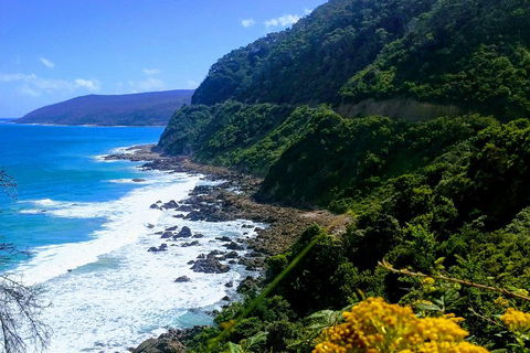 Great Ocean Road Adventure - Private Tour - Reverse - Accommodation Yamba 3