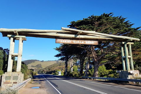 Great Ocean Road Adventure - Private Tour - Reverse - Accommodation Yamba 5