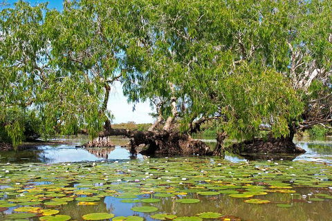 Ethical Adventures - Best In The WET - Litchfield / Kakadu 3 Day- Max 10 Guests - Accommodation Yamba 1