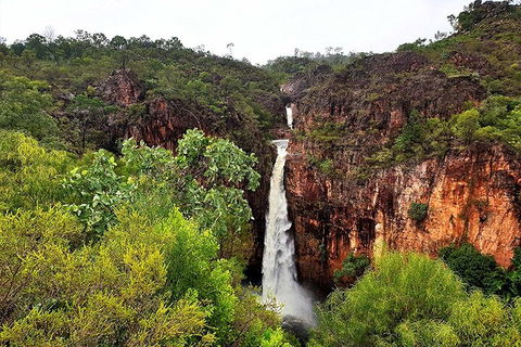 Ethical Adventures - Best In The WET - Litchfield / Kakadu 3 Day- Max 10 Guests - Accommodation Yamba 2