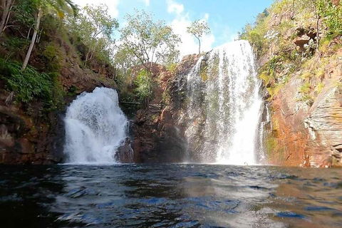 Ethical Adventures - Best In The WET - Litchfield / Kakadu 3 Day- Max 10 Guests - Accommodation Yamba 5