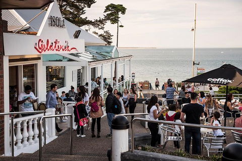 Phillip Island And French Island Wildlife Expedition - Accommodation Yamba 0