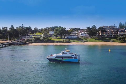 Phillip Island And French Island Wildlife Expedition - Accommodation Yamba 2