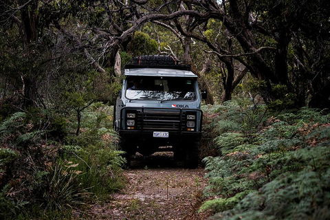 Phillip Island And French Island Wildlife Expedition - Accommodation Yamba 4