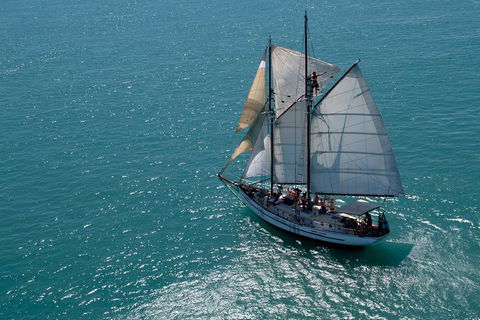 Whitehaven Beach Sailing And Snorkeling Cruise - Accommodation Yamba 1