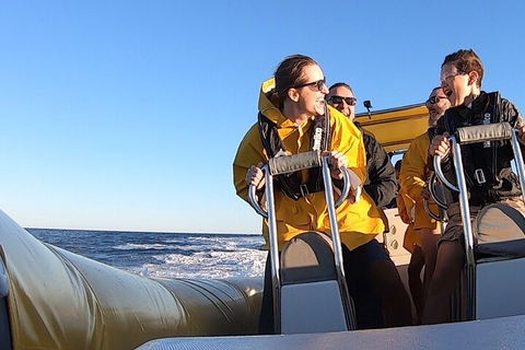 Noosa Oceanrider - Adventure Tour - Accommodation Yamba 0