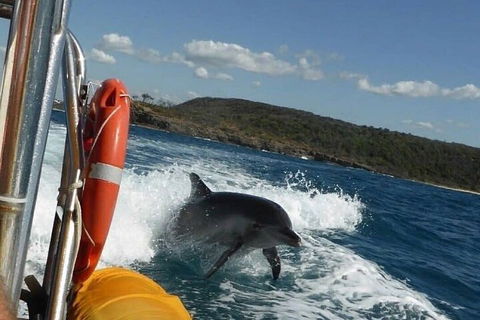 Noosa Oceanrider - Adventure Tour - Accommodation Yamba 1