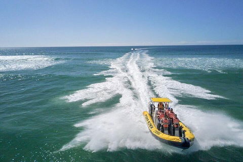 Noosa Oceanrider - Adventure Tour - Accommodation Yamba 2