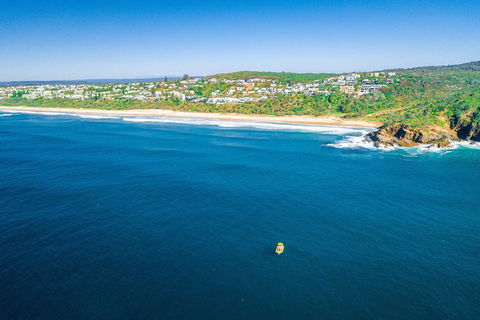 Noosa Oceanrider - Adventure Tour - Accommodation Yamba 3