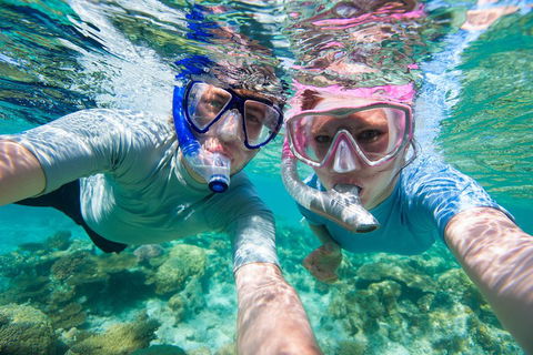Whitehaven Beach And Hill Inlet Lookout Full-Day Snorkeling Cruise By High-Speed Catamaran - Accommodation Yamba 2