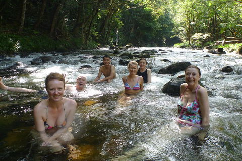 Daintree Rainforest, Cape Tribulation, Mossman Gorge Small-Group Day Tour - Accommodation Yamba 0