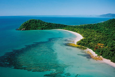Daintree Rainforest, Cape Tribulation, Mossman Gorge Small-Group Day Tour - Accommodation Yamba 4