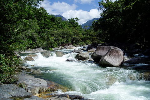 Daintree Rainforest, Cape Tribulation, Mossman Gorge Small-Group Day Tour - Accommodation Yamba 5
