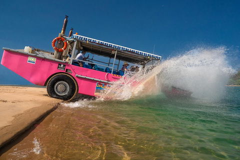 Town Of 1770 Afternoon Cruise - Accommodation Yamba 2