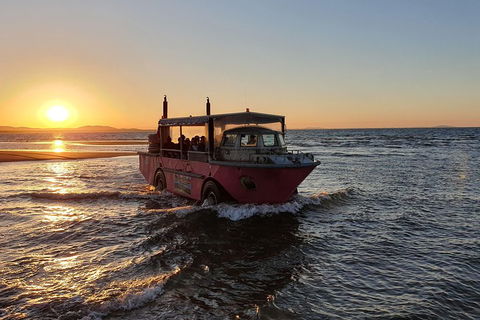 Town Of 1770 Afternoon Cruise - Accommodation Yamba 3