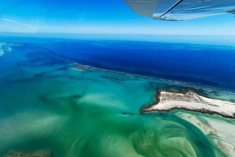 Wet Season Incredible Islands Tour - Horizontal Falls & Cygnet Bay Pearl Farm - Accommodation Yamba 4