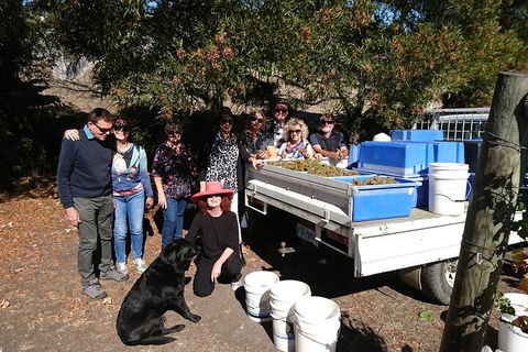 Valleys Of Vino Tour - Accommodation Yamba 1