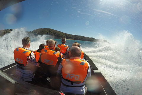 Noosa Thriller - 500hp Ocean Adventure Ride - Accommodation Yamba 3