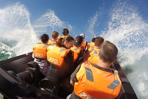 Noosa Thriller - 500hp Ocean Adventure Ride - Accommodation Yamba 4