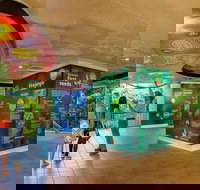 Skyrail  Kuranda Train Day Trip from Cairns - Accommodation Yamba