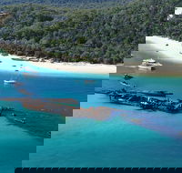 All Inclusive Tangalooma Wrecks Cruise Tour From Gold Coast - Accommodation Yamba