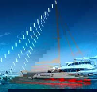 Passions of Paradise Great Barrier Reef Snorkel and Dive Cruise from Cairns by Luxury Catamaran - Accommodation Yamba