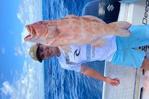 3/4 Day 7 Hour Offshore Fishing Charter - Accommodation Yamba 5