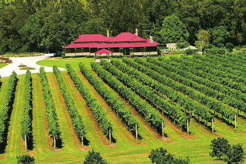 O'Reilly's & Lamington National Park From Brisbane - Accommodation Yamba 2