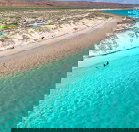 Ningaloo in a Day - Full Day Hike and Snorkel Tour with Lunch - Accommodation Yamba