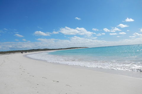 Shipwreck Special Nature Tour/Half Day Tour - Accommodation Yamba 0