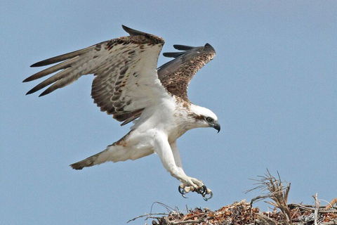 Shipwreck Special Nature Tour/Half Day Tour - Accommodation Yamba 4