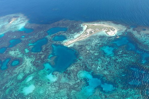 Shipwreck Special Nature Tour/Half Day Tour - Accommodation Yamba 5