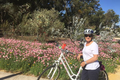 Perth Bike Tour - Beautiful Matilda Bay And Kings Park - Accommodation Yamba 1