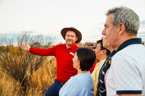 Uluru (Ayers Rock) Sunset With Outback Barbecue Dinner And Star Tour - Accommodation Yamba 3