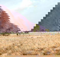 Uluru Sunrise and Guided Base Walk - Accommodation Yamba