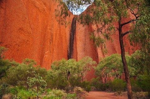 Uluru Sunrise And Guided Base Walk - Accommodation Yamba 3