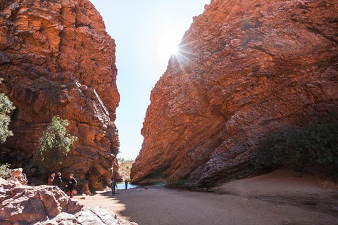 West MacDonnell Ranges- Half Day Trip From Alice Springs - Accommodation Yamba 0