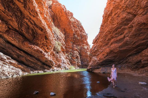 West MacDonnell Ranges- Half Day Trip From Alice Springs - Accommodation Yamba 1
