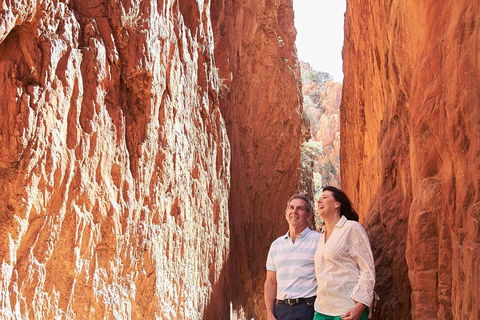 West MacDonnell Ranges- Half Day Trip From Alice Springs - Accommodation Yamba 2