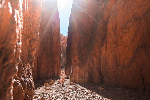 West MacDonnell Ranges- Half Day Trip From Alice Springs - Accommodation Yamba 4