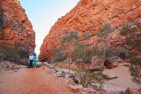 Best Of Alice Springs Full Day Tour - Accommodation Yamba 1