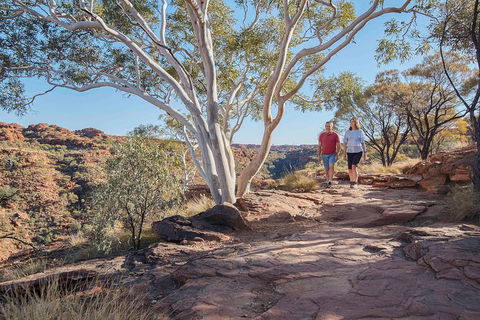 3-Day Tour From Uluru (Ayers Rock) To Alice Springs Via Kings Canyon - Accommodation Yamba 1