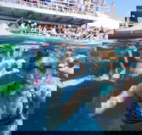 Great Barrier Reef Day Cruise from Cairns Including Snorkeling and Marine Biologist Presentation - Accommodation Yamba