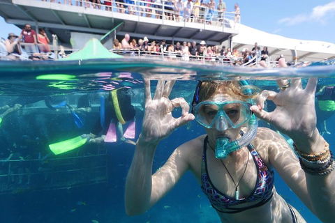 Great Barrier Reef Day Cruise From Cairns Including Snorkeling And Marine Biologist Presentation - Accommodation Yamba 0