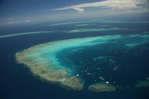 Great Barrier Reef Day Cruise From Cairns Including Snorkeling And Marine Biologist Presentation - Accommodation Yamba 1
