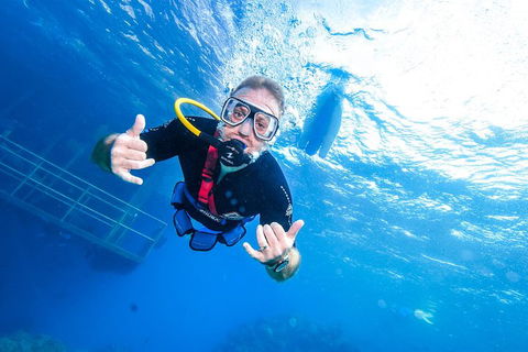 Great Barrier Reef Day Cruise From Cairns Including Snorkeling And Marine Biologist Presentation - Accommodation Yamba 3
