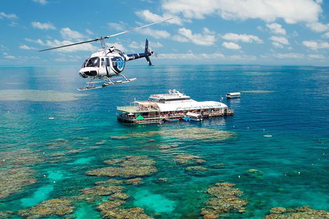 Great Barrier Reef Day Cruise From Cairns Including Snorkeling And Marine Biologist Presentation - Accommodation Yamba 5