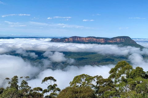Small-Group Blue Mountains Tour With A Local Guide - Accommodation Yamba 4
