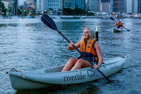 Brisbane Kayak Tour - Accommodation Yamba 2